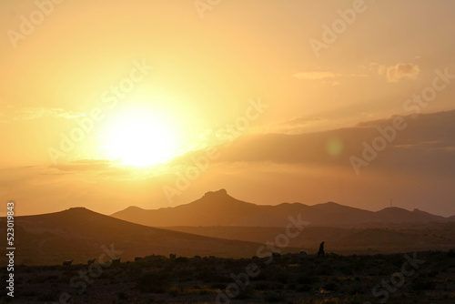 sunset with sheep Tunisia, Berber mountain 