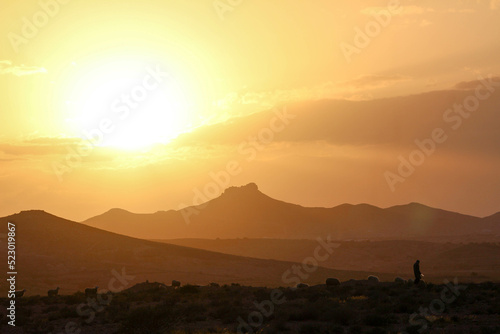 sunset with sheep Tunisia  Berber mountain  