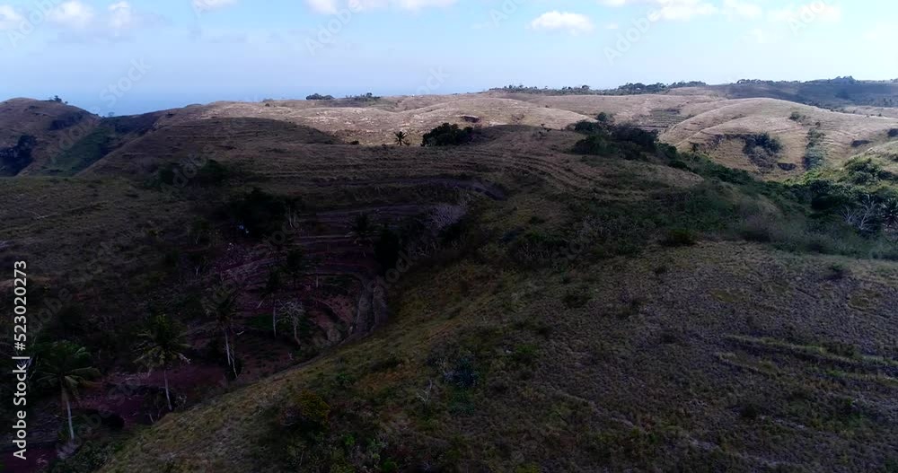 Aerial shot of dry hills with coconut trees in between, sea background Aerial shot of dry hills with coconut trees in between, sea background