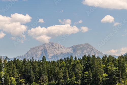 leuchtendes Bergmassiv in blauem Himmel mit grünen Tannen im Vordergrund © natros