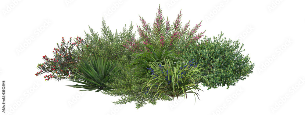 Fototapeta premium Shrubs and plants on a transparent background 