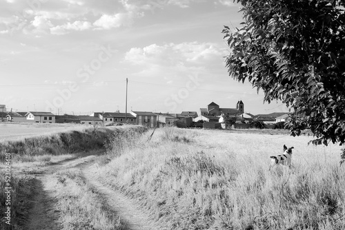 landscape with farm
