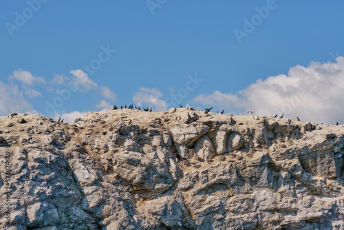 Close-up of White Stone Island, Belyy Kamen on Lake Baikal, Russia. Cormorants and seagulls