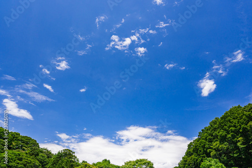 青空と緑の風景