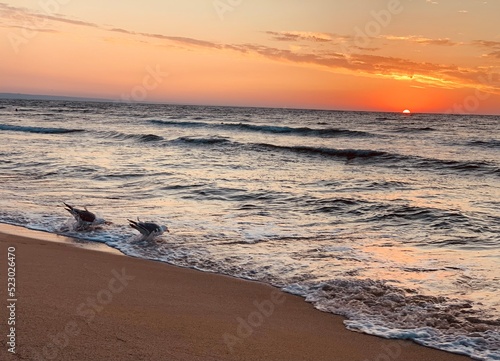 Sonnenaufgang am Meer, 2 Möwen im Wasser, St. Konstantin Bulgarien