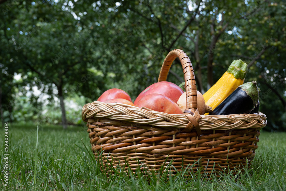 wicker wooden basket full of fresh ripe vegetables: tomato, cucumber, onion, zucchini, eggplant on brick background. Early harvest. Concept of healthy eating lifestyle diet nutrition. Consumer basket wicker wooden basket full of fresh ripe vegetables: tomato, cucumber, onion, zucchini, eggplant on brick background. Early harvest. Concept of healthy eating lifestyle diet nutrition. Consumer basket