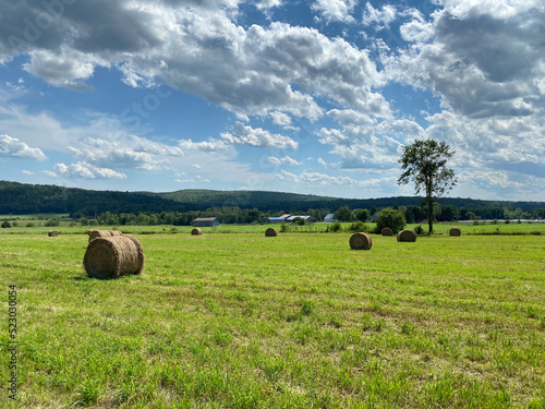 Ballot de foin dans un champ, montagnes et ciel nuageux au loin. Rouleau de paille à la moisson. Meules de foin dans une campagne pour l'agriculture.