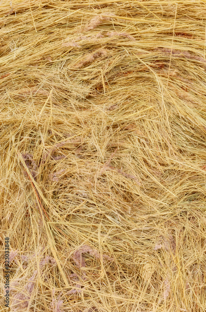 Close up picture of a hay bale, abstract natural background. Close up picture of a hay bale, abstract natural background.