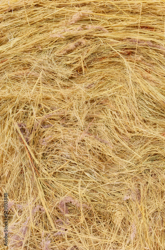 Close up picture of a hay bale, abstract natural background.