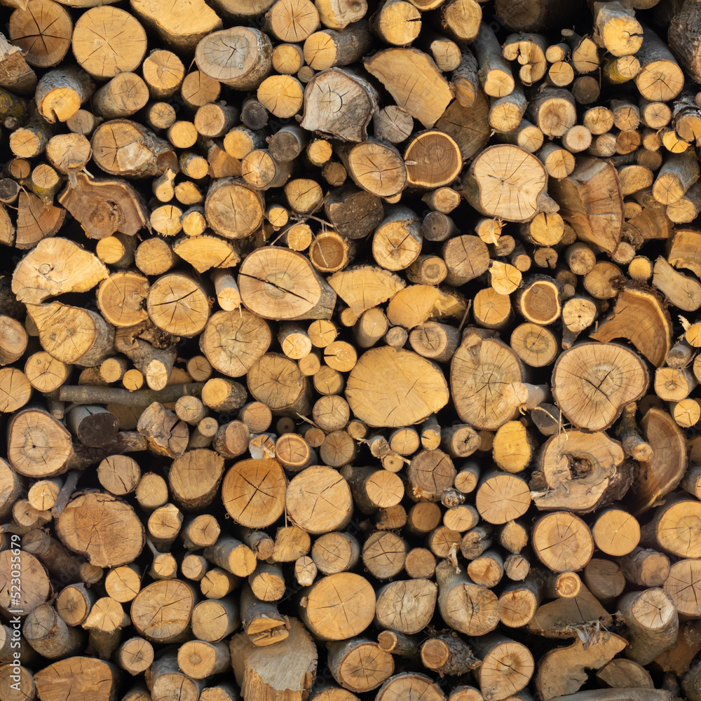 Cross section of tree trunks background. Cutting tree trunks placed together for interior decorate, background Cross section of tree trunks background. Cutting tree trunks placed together for interior decorate, background