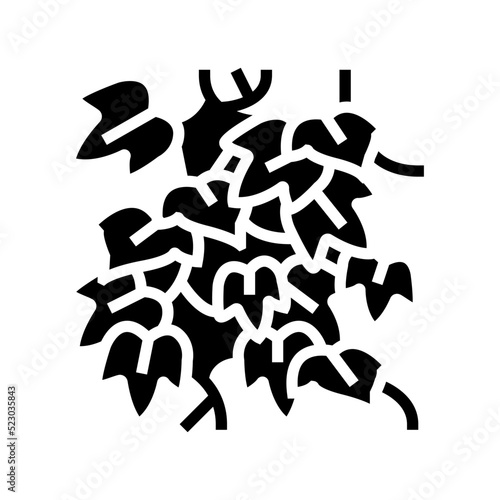 english ivy glyph icon vector. english ivy sign. isolated symbol illustration