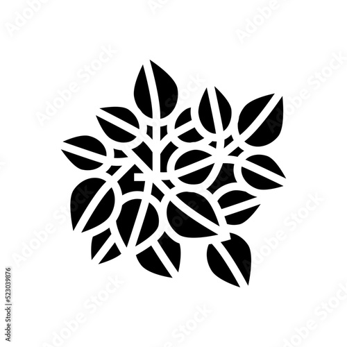 poison ivy glyph icon vector. poison ivy sign. isolated symbol illustration
