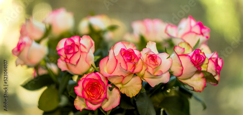 a pink roses bouquet