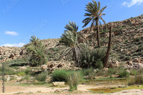 hiking in a tunisian oasis 
