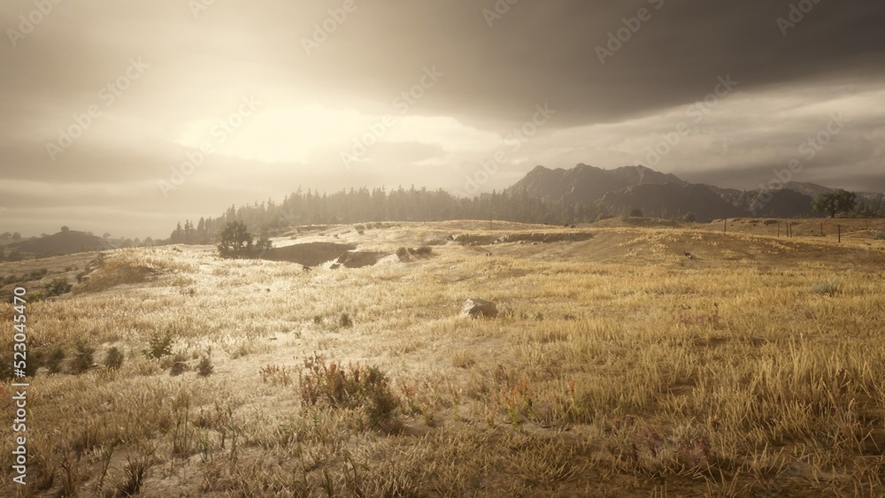 Obraz premium mist in the mountains