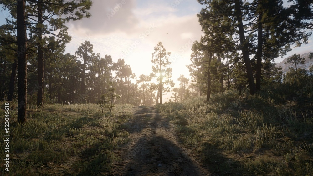 Obraz premium sunrise in the forest