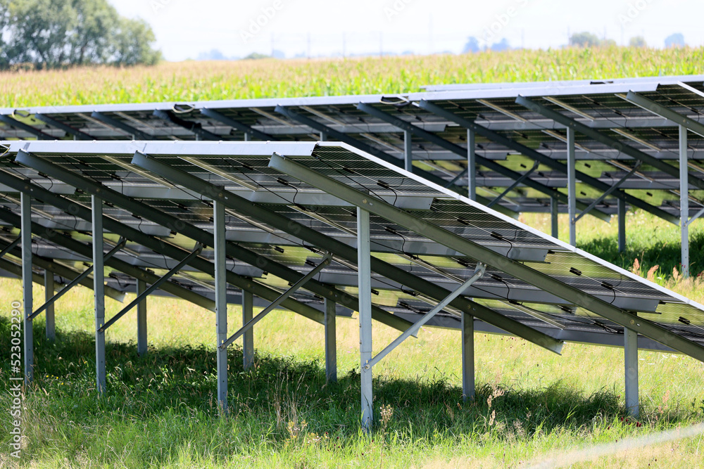 Farma ekologicznych paneli słonecznych na polanie. - obrazy, fototapety, plakaty 