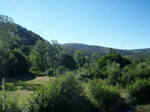 Pradera y árboles en primer plano con montañas de sierra al fondo y cielo azul despejado. Burgos, España, Sierra de la Demanda