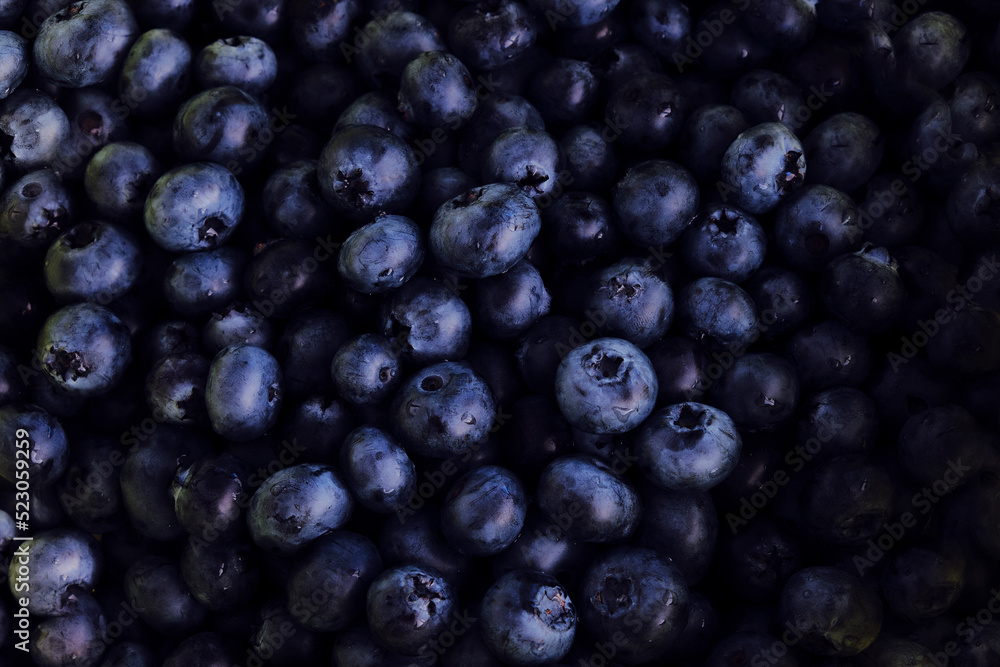 Blueberries background. Fresh Berries. Blueberries background. Fresh Berries.