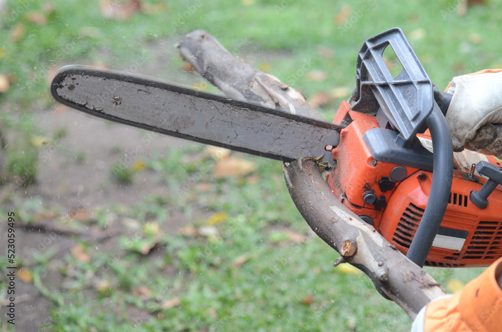 Closeup of a man's hand holding a chainsaw on a half-cut trunk