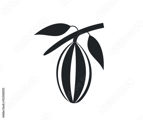 Cocoa branch logo design. Various of Fresh cocoa fruits with half sliced and leaf vector design and illustration.
