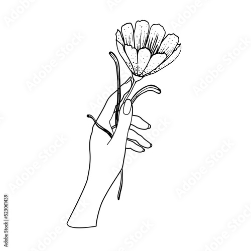 Female hand logo in minimal linear style. Vector emblems holding a rose, chamomile leaf and calendula. For packaging and website of cosmetics, tattoo, spa, manicure, jewelry
