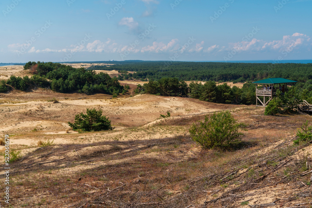 View of the Staroderevenskaya dune from the Height of Efa (Walnut dune) on a sunny summer day, Curonian Spit, Kaliningrad region, Russia
