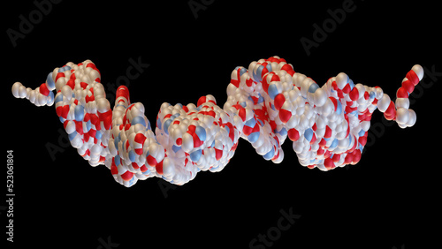 3D rendering of Glucagon-like peptide 1 (GLP1, 7-36) molecule, a potent antihyperglycemic hormone. A neuropeptide and an incretin, treatment of diabetes, Molecular surface. 3d illustration photo