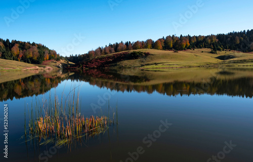 Landscape of Sultanpinar Plateau in Bolu Turkey with lake and reflections of trees and grass in autumn blue sky sunny weather