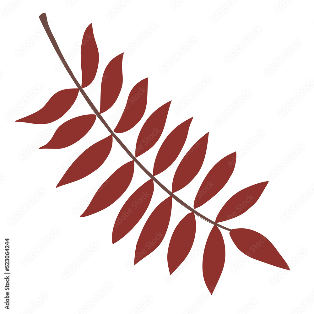 Automn Leaf Vector Icon Illustration in flat design.