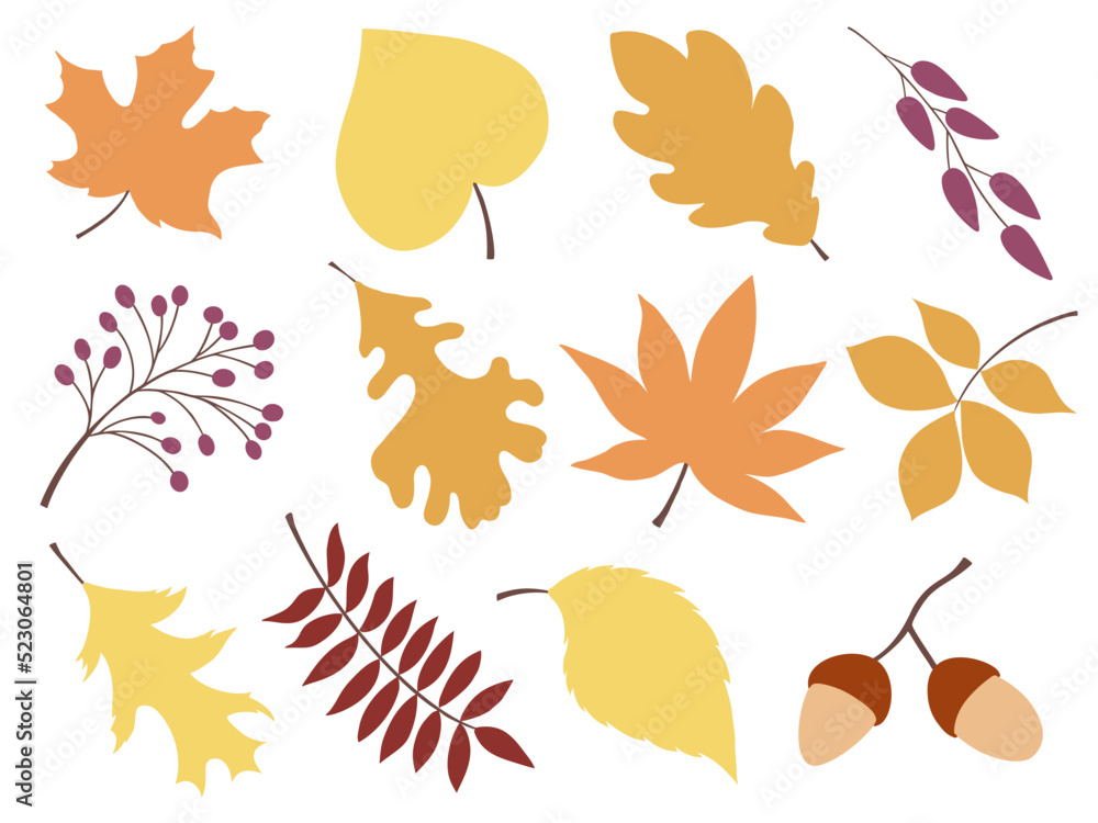 Big set of fall leaves and autumn objects. Fall clipart halloween or thanksgiving illustration.