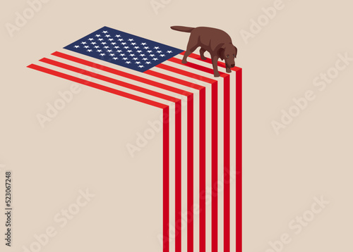 United States economy collapse. Symbol of crisis, recession, downfall and stock market crash. Vector illustration concept.