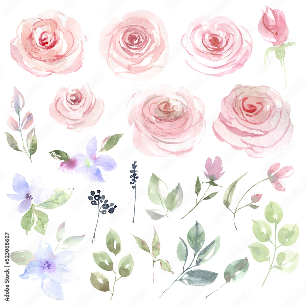 Set of watercolor flowers. Pink roses, dark roses, wild flowers, meadow grasses, green leaves and branches. Floral set for cards, stickers, bouquets