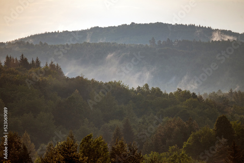 Mist rising above dense pine forest of Rakovica in the mountain region of Lika, Croatia at sunset