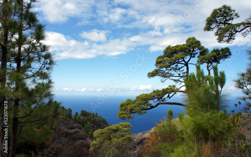 View of the blue ocean from the top of the mountain of the island of La Palma. Canary Islands, Spain.