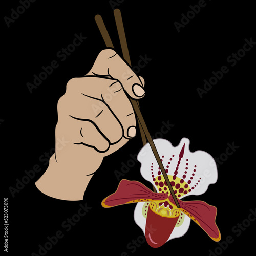 Human hand holding single blooming head of orchid flower with chopsticks. Creative floral food concept. Paphiopedilum. Venus slipper. On black background.