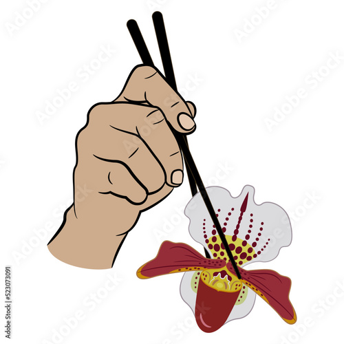 Human hand holding single blooming head of orchid flower with chopsticks. Creative floral food concept. Paphiopedilum. Venus slipper. Isolated vector illustration.