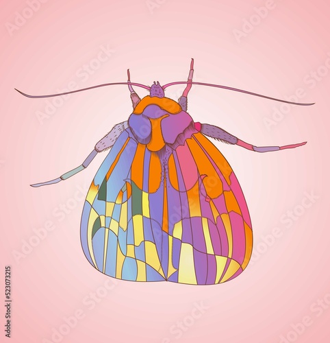 An illustration depicting a bright multi-colored butterfly, moth, mole insect beetle with iridescent wings