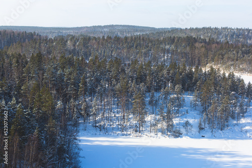 Repovesi National Park, aerial winter view, landscape view of a finnish park, southern Finland, Kouvola and Mantyharju, region of Kymenlaakso, with a group of tourists and wooden infrastructure