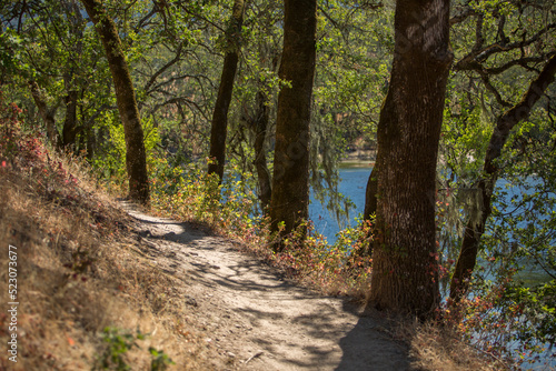 Hiking trail through oak trees in the Sonoma Valley Regional Park in Glen Ellen, California during summer. Wine Country getaway.