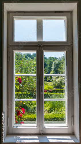 Blick in einen Garten durch ein geschlossenes Fenster