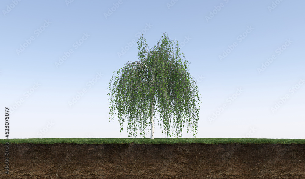 Deciduous tree and soil cut under it, 3d render Deciduous tree and soil cut under it, 3d render