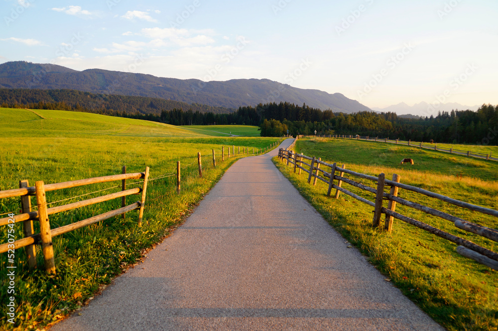 a sunlit road leading through the picturesque Bavarian countryside of the Steingaden region in the Bavarian Alps, Allgaeu, Bavaria, Germany	