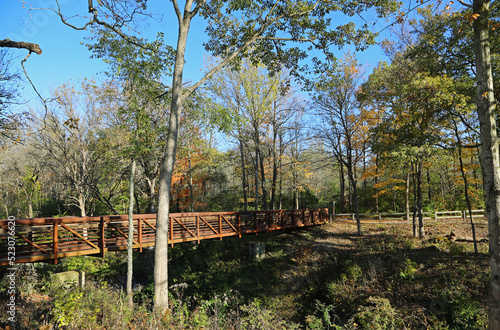 The trail in the park - Indian Mound Reserve  Ohio