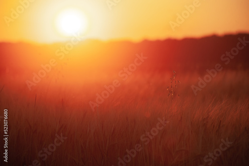 Blur field background with bright orange and red sunset