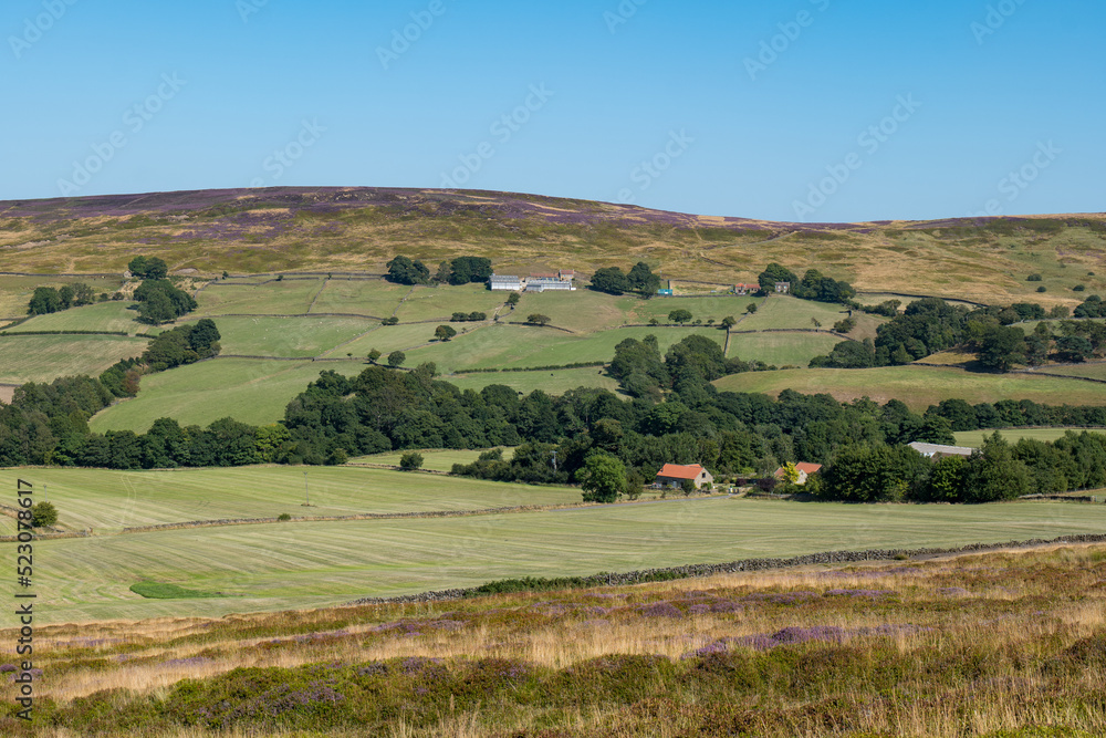 Dry conditions on the North Yorkshire Moors during the hot weather of the heatwave . Landscape picture of farmland on the moorlands.