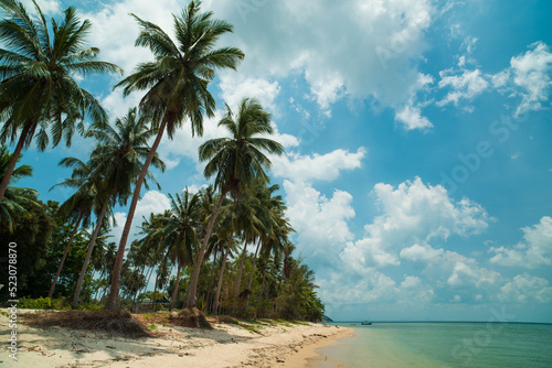 Palms and beautiful beach on the shores of Lipo Noi, Koh Samui - Thailand 