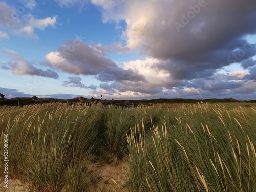 Dünen mit Schilf bewachsen am Strand mit Leuchtturm im Hintergrund