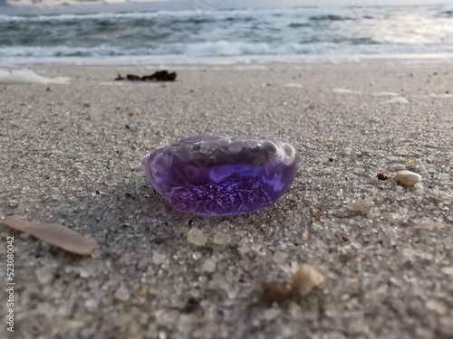 Purple Jellyfish on the Beach
