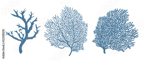 Corals. Three blue vector silhouettes of coral branches. Illustration isolated on white background.